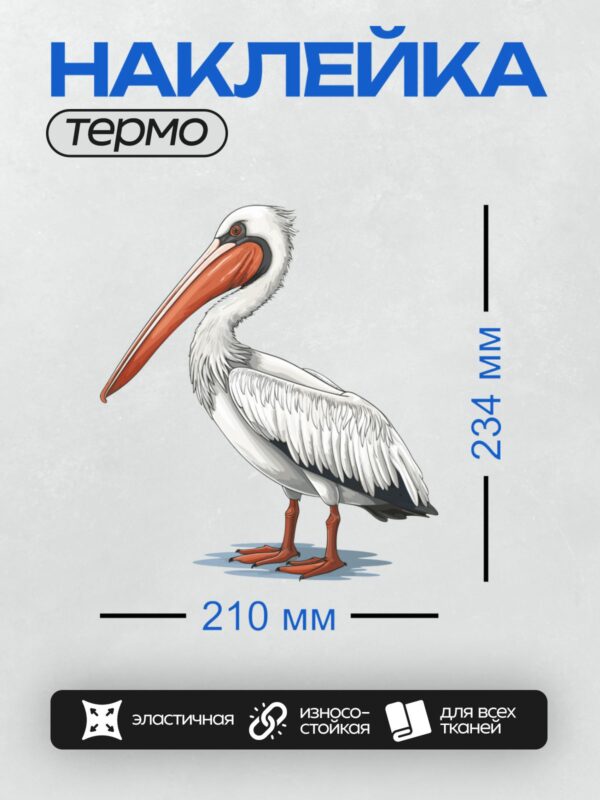 Термонаклейка на одежду DTF / Мультяшный пеликан с длинным оранжевым клювом.