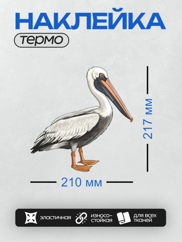 Термонаклейка на одежду DTF / Мультяшный пеликан с длинным клювом и яркими лапами.