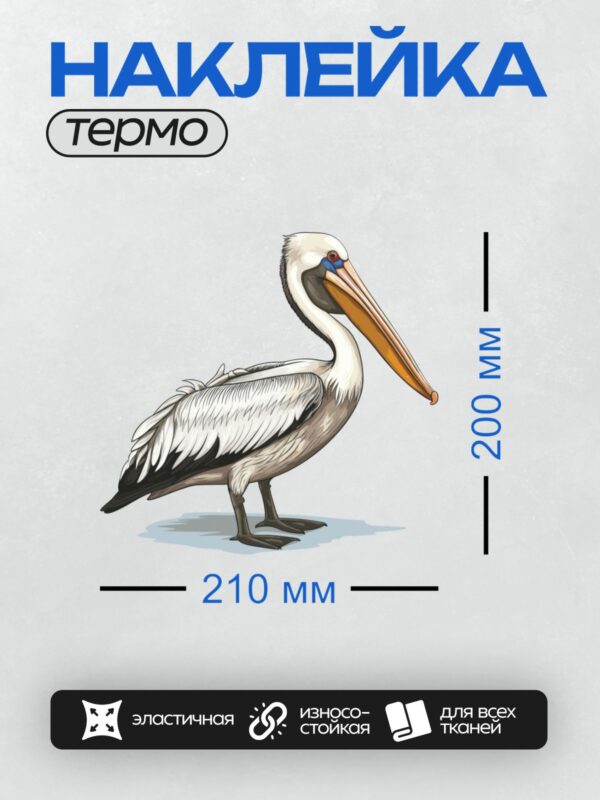 Термонаклейка на одежду DTF / Белый пеликан с длинным клювом и горловым мешком.