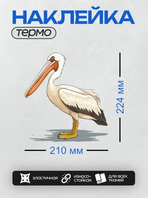 Термонаклейка на одежду DTF / Белый пеликан с длинным клювом и оранжевым мешком.