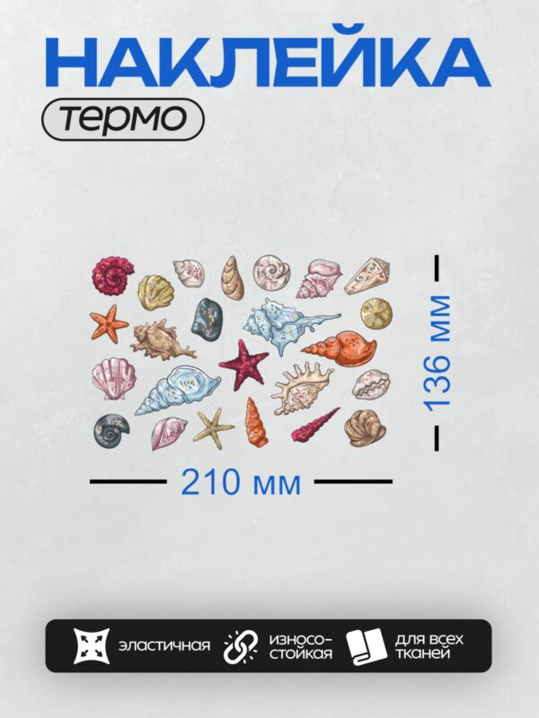 Термонаклейка на одежду DTF / На изображении представлены разноцветные ракушки и морские звезды.