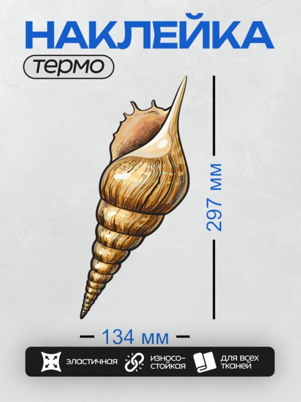 Термонаклейка на одежду DTF / Золотистая ракушка с изящными линиями и плавными изгибами.