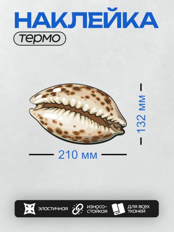 Термонаклейка на одежду DTF / Раковина каури с коричневыми пятнами на белом фоне.