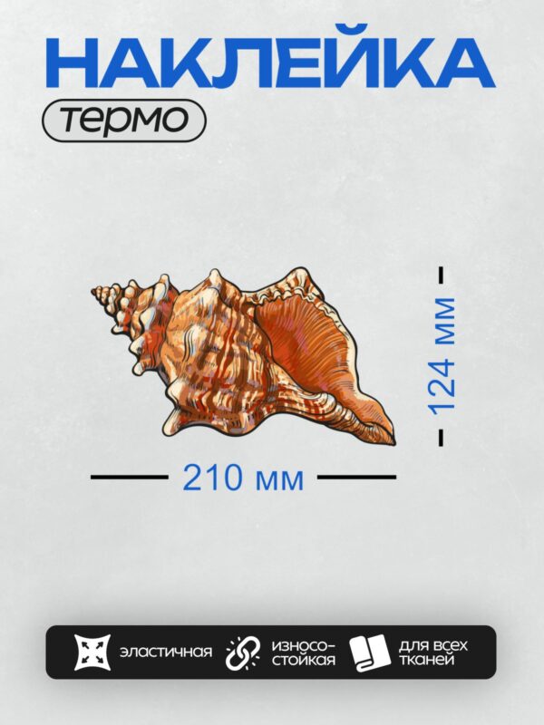 Термонаклейка на одежду DTF / Яркая морская раковина конх с оранжевыми оттенками.