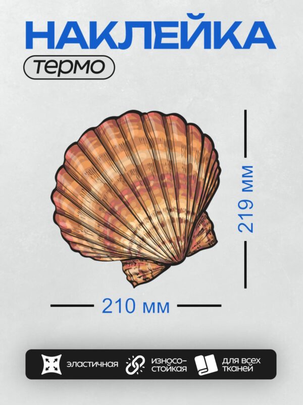 Термонаклейка на одежду DTF / Яркая раковина морского гребешка с веерообразным узором.
