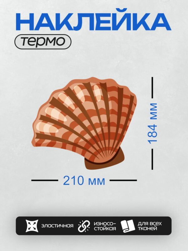 Термонаклейка на одежду DTF / Раковина гребешка с красно-белыми полосами.