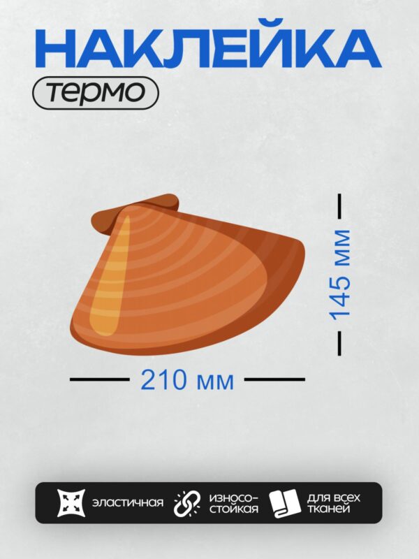 Термонаклейка на одежду DTF / Оранжевая раковина морского гребешка.