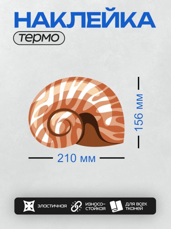 Термонаклейка на одежду DTF / Раковина улитки с красно-белыми полосами.