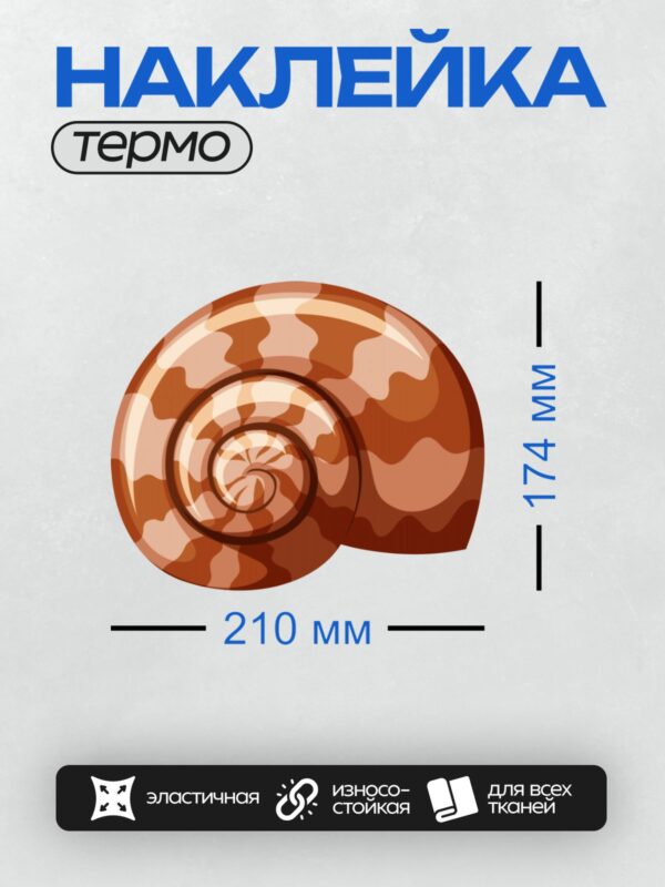 Термонаклейка на одежду DTF / Спиральная раковина улитки в теплых тонах.
