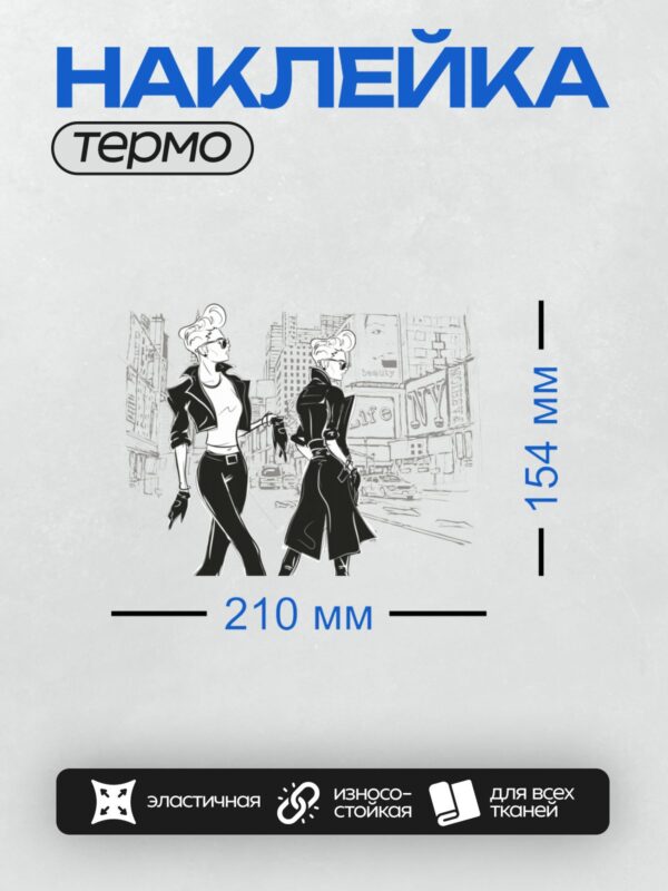 Термонаклейка на одежду DTF / Две стильные девушки на фоне Нью-Йорка.