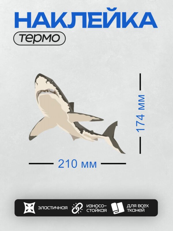 Термонаклейка на одежду DTF / Мультяшная акула с открытой пастью и острыми зубами.