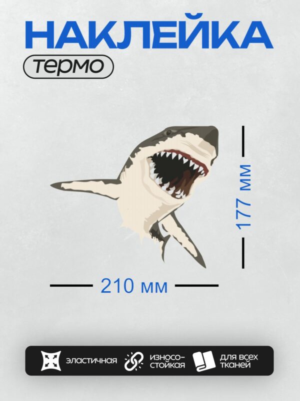 Термонаклейка на одежду DTF / Мультяшная акула с открытой пастью и острыми зубами.