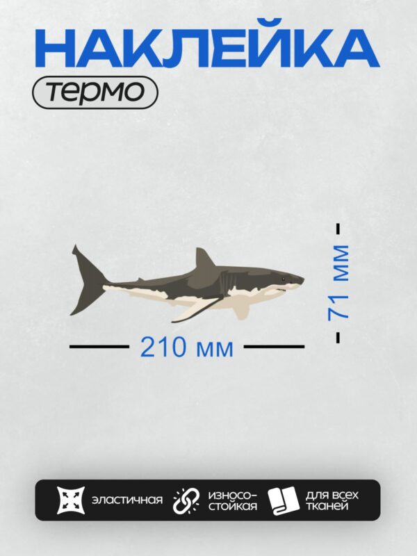 Термонаклейка на одежду DTF / Мультяшная акула с открытой пастью и острыми зубами.