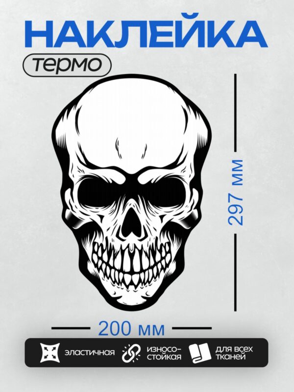 Термонаклейка на одежду DTF / Стилизованный черно-белый череп в графическом стиле.