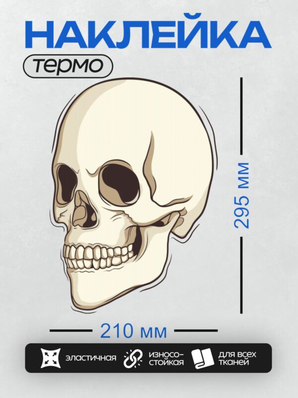 Термонаклейка на одежду DTF / Стилизованный череп в графическом стиле с четкими линиями и минималистичным дизайном.