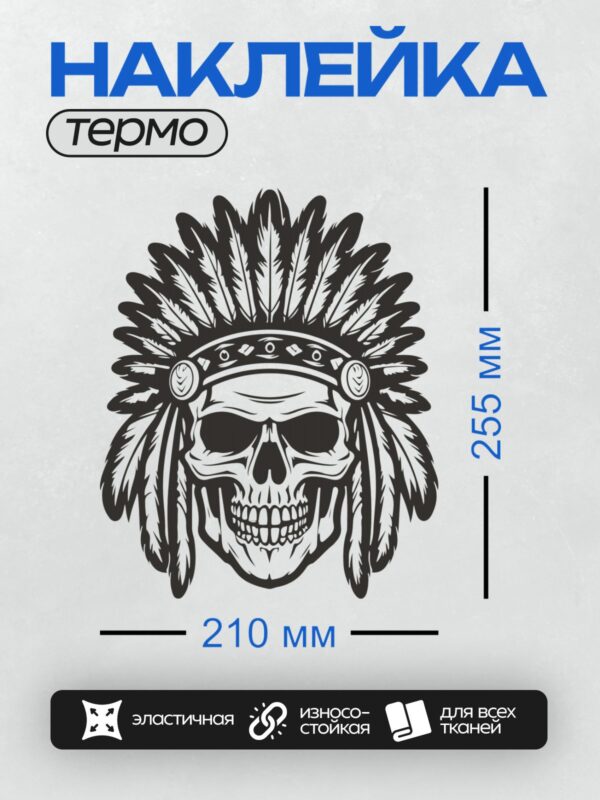 Термонаклейка на одежду DTF / Череп в индейском головном уборе, черно-белый стиль.