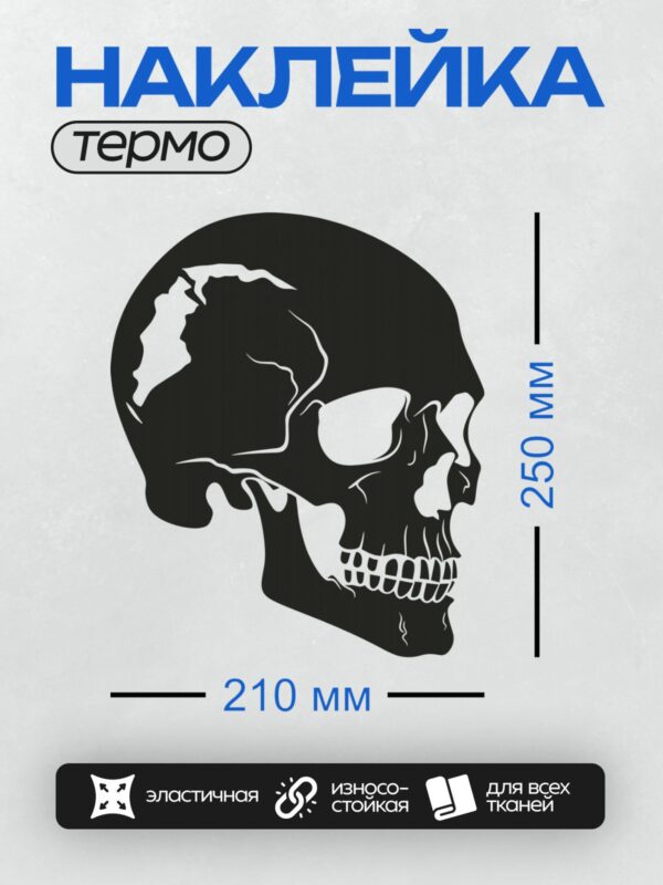Термонаклейка на одежду DTF / Черно-белый стилизованный череп в минималистичном стиле.