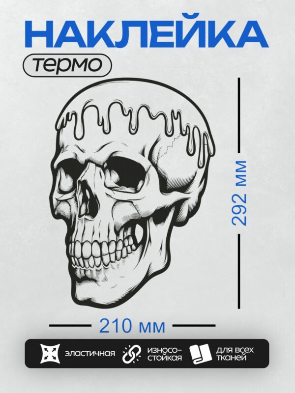 Термонаклейка на одежду DTF / Стилизованный череп с эффектом "тающего" рисунка.