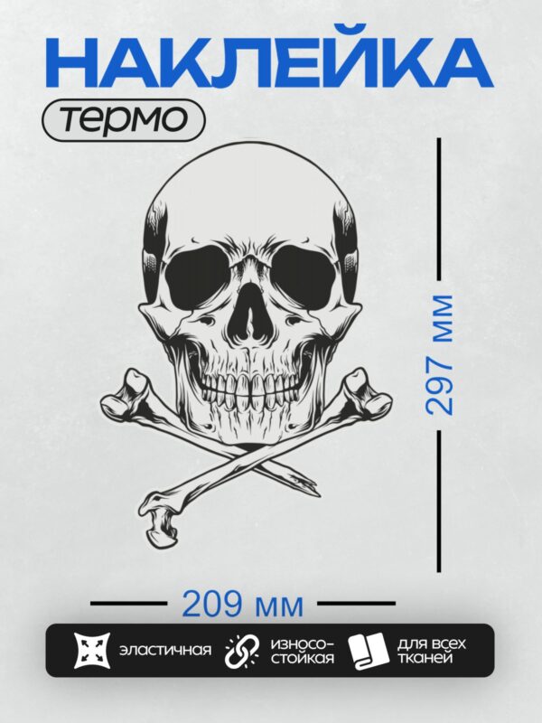 Термонаклейка на одежду DTF / Черно-белый череп с перекрещенными костями.