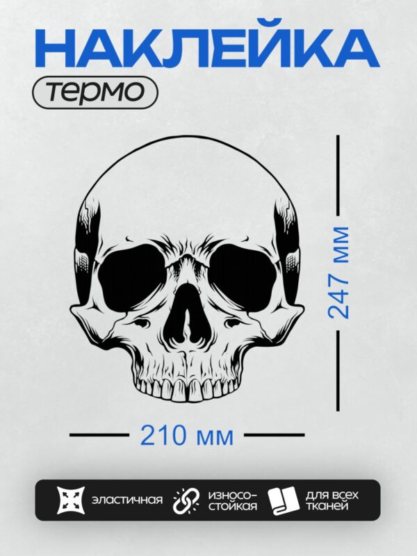 Термонаклейка на одежду DTF / Стилизованный черно-белый череп с четкими линиями.