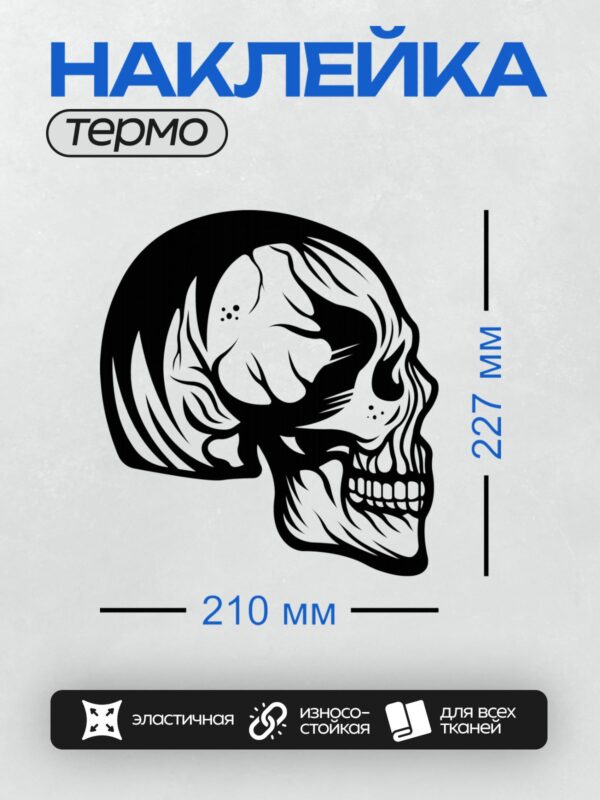 Термонаклейка на одежду DTF / Черно-белый череп в абстрактном стиле.