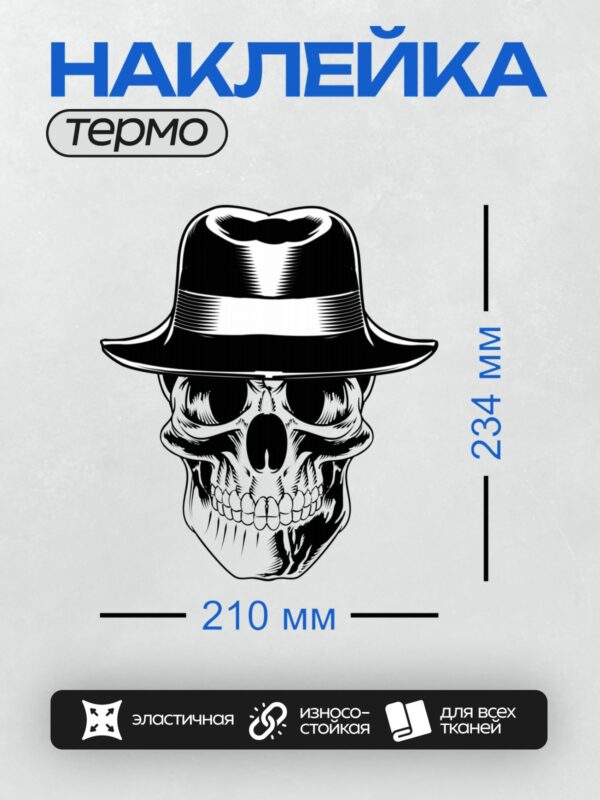 Термонаклейка на одежду DTF / Стилизованный череп в шляпе, черно-белая графика.