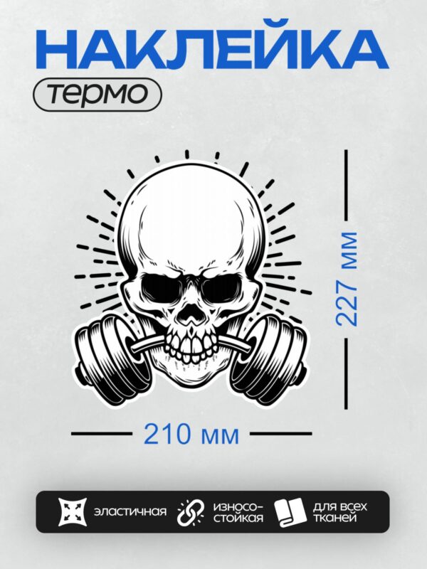 Термонаклейка на одежду DTF / Череп с гантелями в зубах, динамичный стиль.