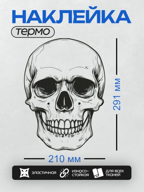 Термонаклейка на одежду DTF / Стилизованный черно-белый череп с четкими линиями.