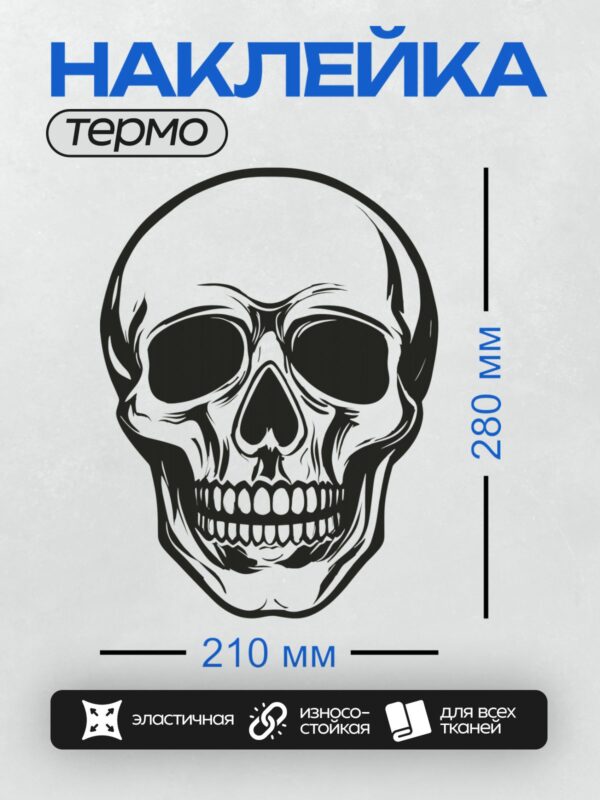Термонаклейка на одежду DTF / Стилизованный череп в черном контуре.