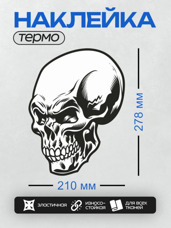 Термонаклейка на одежду DTF / Черно-белый стилизованный череп в круге.
