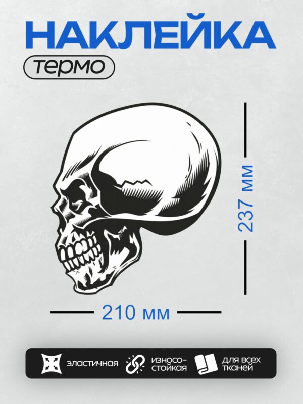 Термонаклейка на одежду DTF / Черно-белый стилизованный череп в профиль.