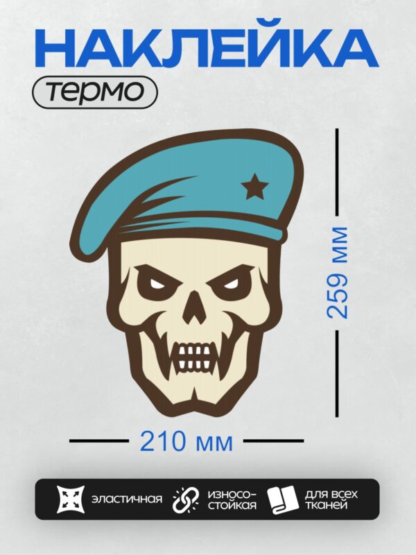 Термонаклейка на одежду DTF / Череп в голубом берете с черной звездой.