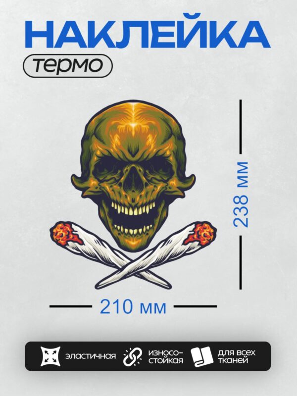 Термонаклейка на одежду DTF / Череп с огненными глазами и горящими косяками.
