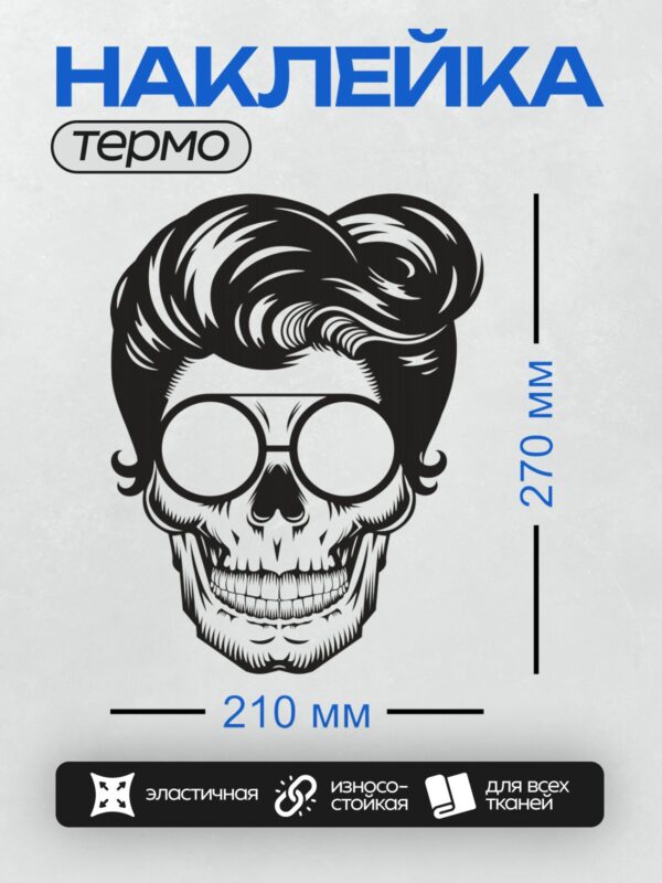 Термонаклейка на одежду DTF / Стилизованный череп с очками и модной прической.