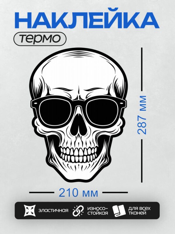 Термонаклейка на одежду DTF / Черно-белый череп в стильных солнцезащитных очках.