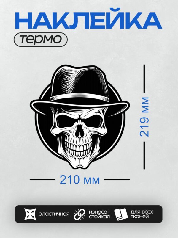 Термонаклейка на одежду DTF / Черно-белый череп в шляпе, графический стиль.