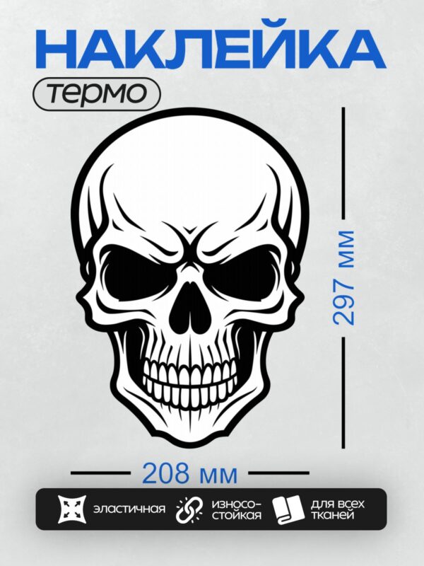 Термонаклейка на одежду DTF / Стилизованный черно-белый череп с острыми чертами.