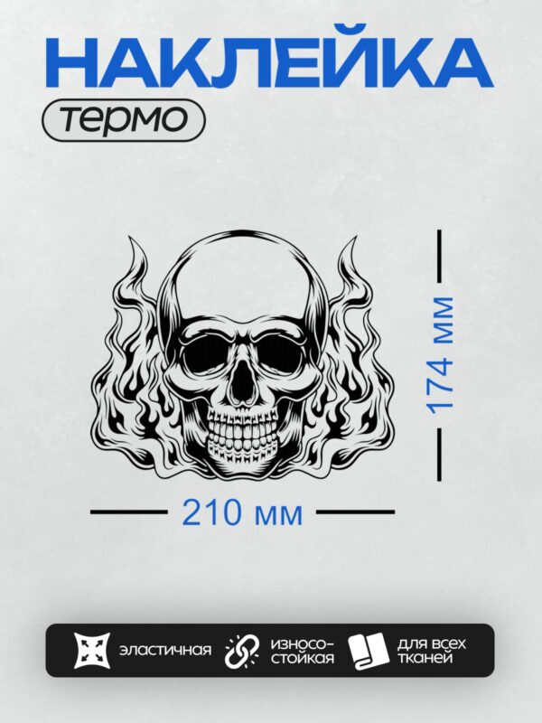 Термонаклейка на одежду DTF / Стилизованный череп в окружении языков пламени.