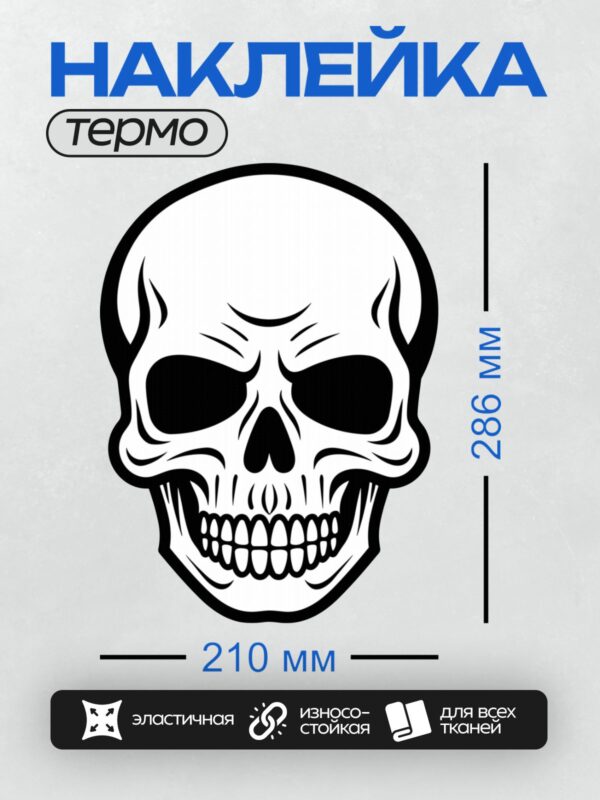 Термонаклейка на одежду DTF / Стилизованный черно-белый череп с острыми чертами лица.