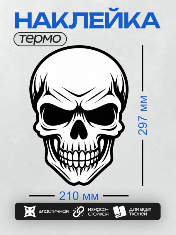 Термонаклейка на одежду DTF / Стилизованный черно-белый череп в графическом стиле.