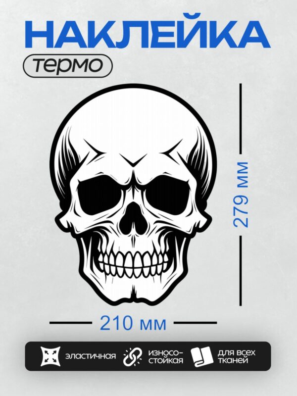 Термонаклейка на одежду DTF / Стилизованный черно-белый череп в графическом стиле.