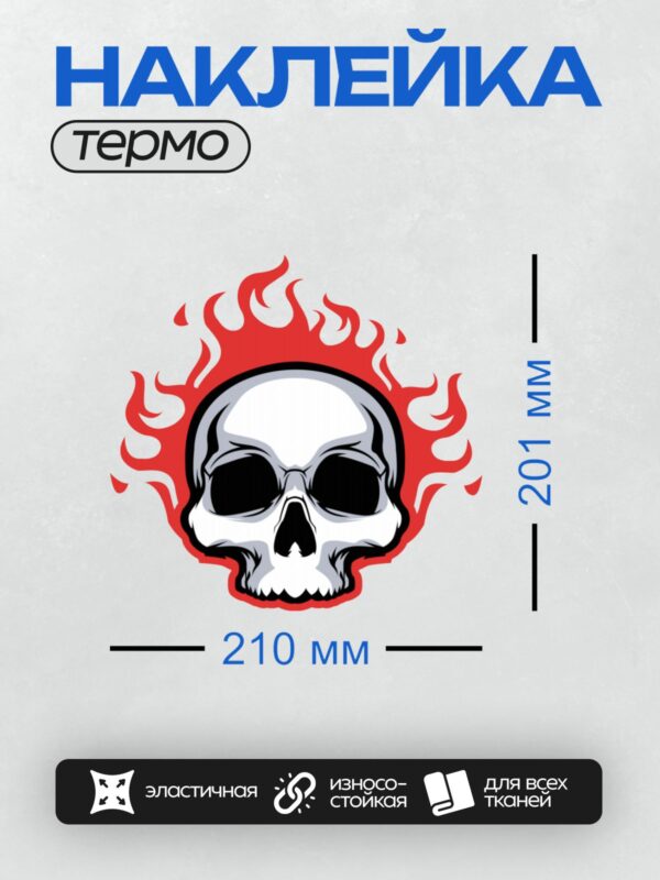 Термонаклейка на одежду DTF / Стилизованный череп, окружённый ярким пламенем.