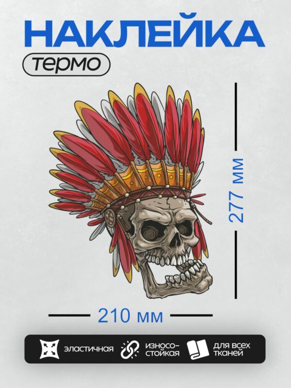 Термонаклейка на одежду DTF / Череп в индейском головном уборе с яркими перьями.