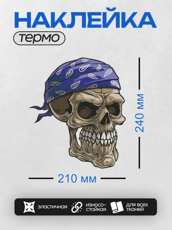 Термонаклейка на одежду DTF / Череп в синей бандане с узором пейсли.