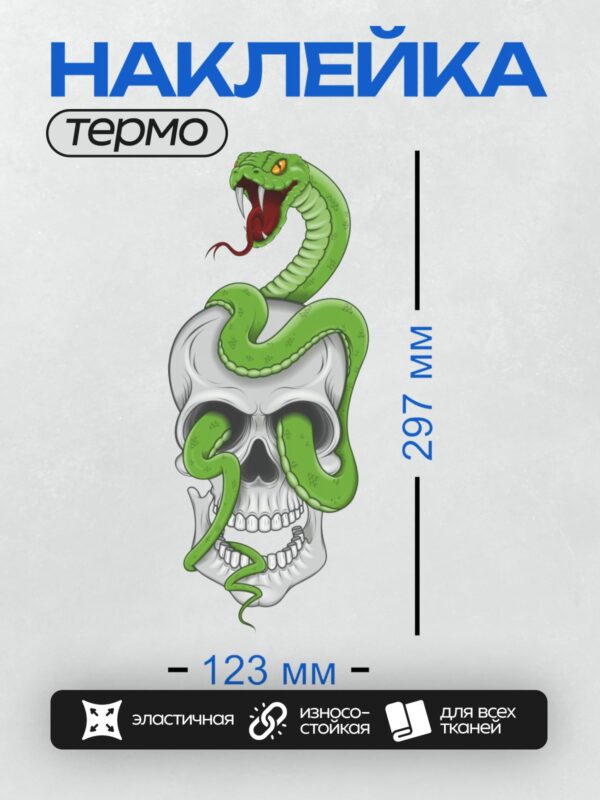 Термонаклейка на одежду DTF / Череп с зелёной змеёй, обвивающей его.
