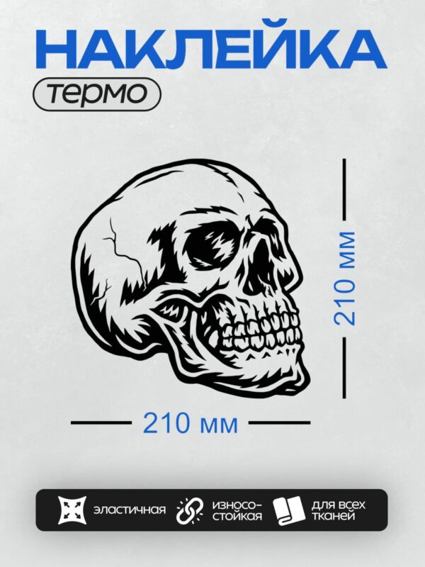 Термонаклейка на одежду DTF / Черно-белый череп с абстрактным узором.