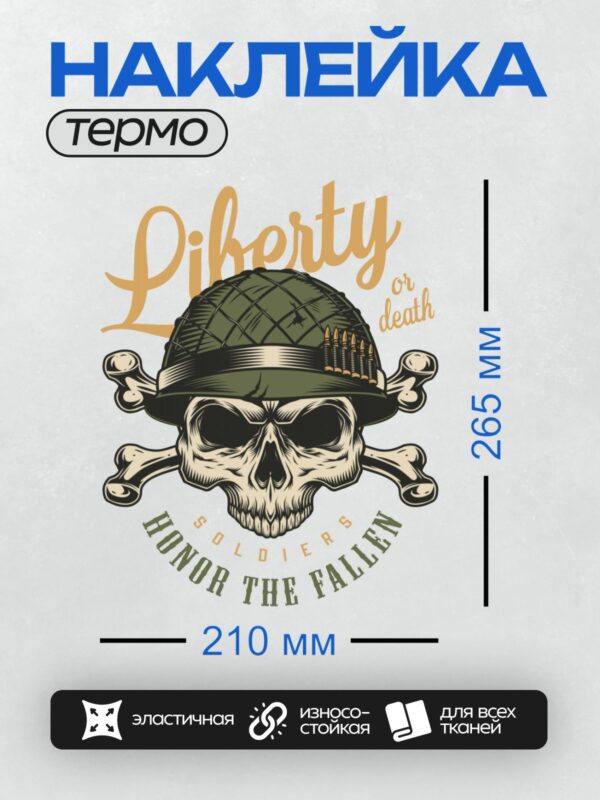 Термонаклейка на одежду DTF / Череп в военной каске, скрещенные кости, надписи.