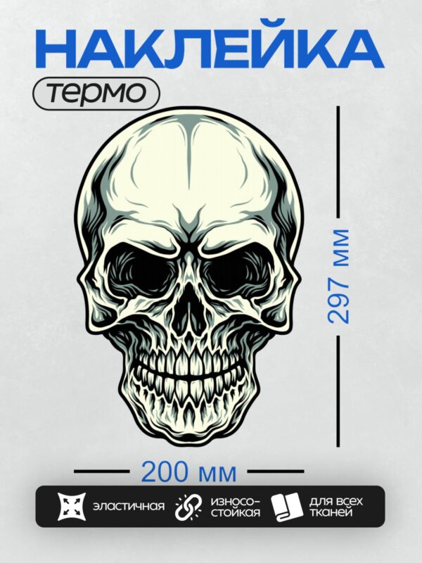 Термонаклейка на одежду DTF / Стилизованный череп в мультяшном стиле с четкими линиями и контрастными тенями.
