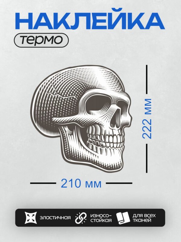 Термонаклейка на одежду DTF / Череп в стиле гравюры с детализированными линиями.