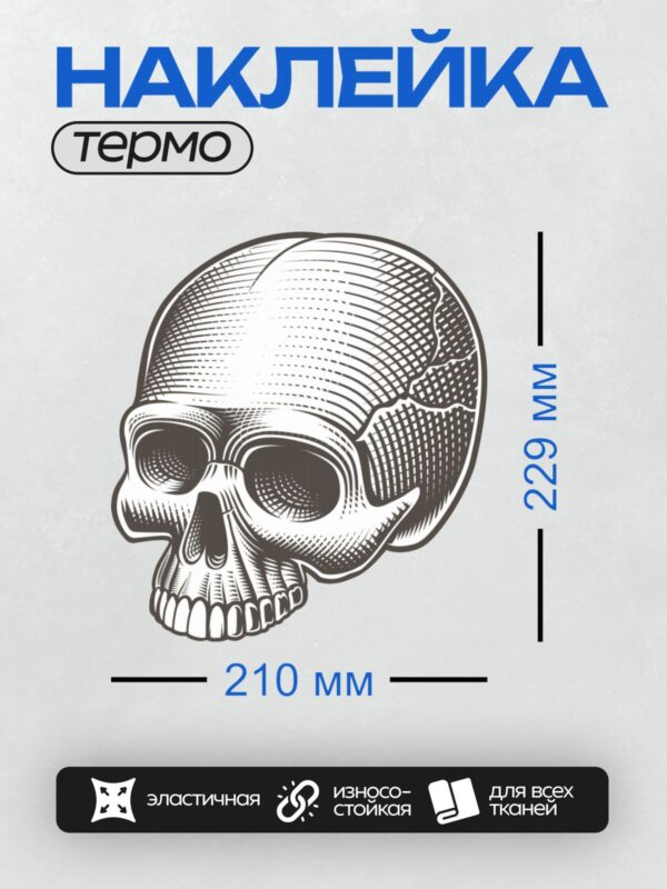 Термонаклейка на одежду DTF / Черно-белый череп в стиле гравюры с детализированными линиями и текстурами.